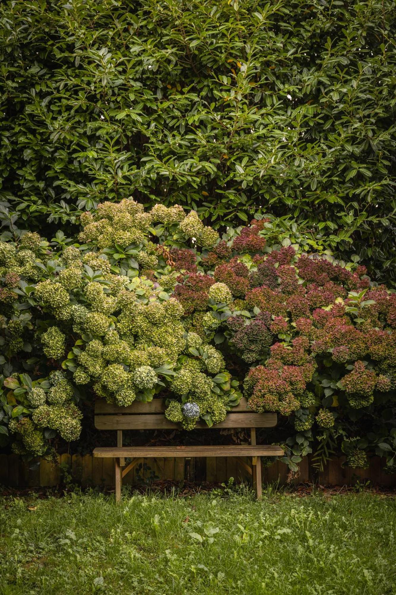 Le Jardin Enchanteur, Chaleureuse Maison D'Hotes Eco-Responsable, Calme Et Accueillante Lopérec Dış mekan fotoğraf